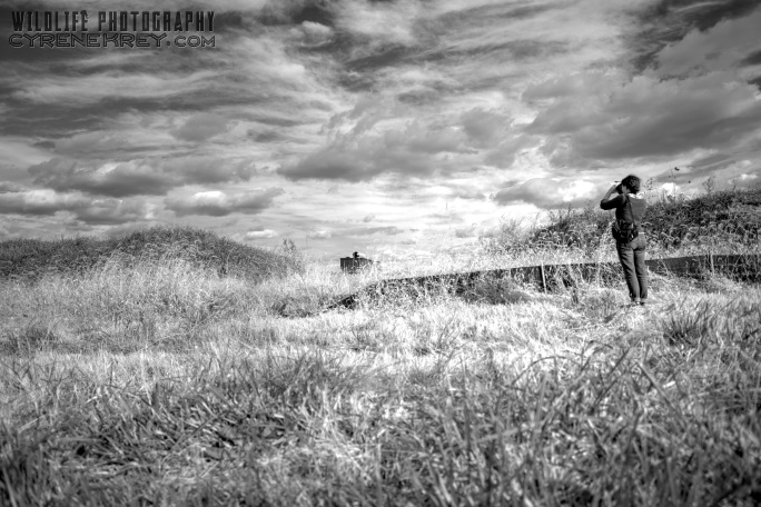 Winifred Bird Photographing DAPL Site by Cyrene Krey