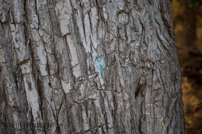 Blue Heart on Tree by Cyrene Krey