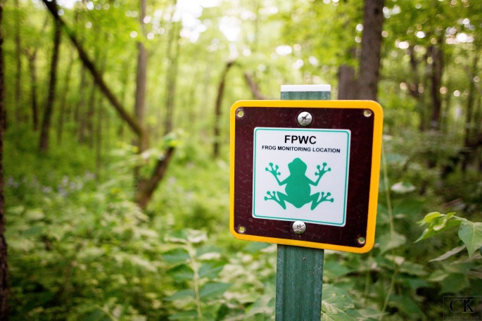 Frog Monitor Sign by Cyrene Krey